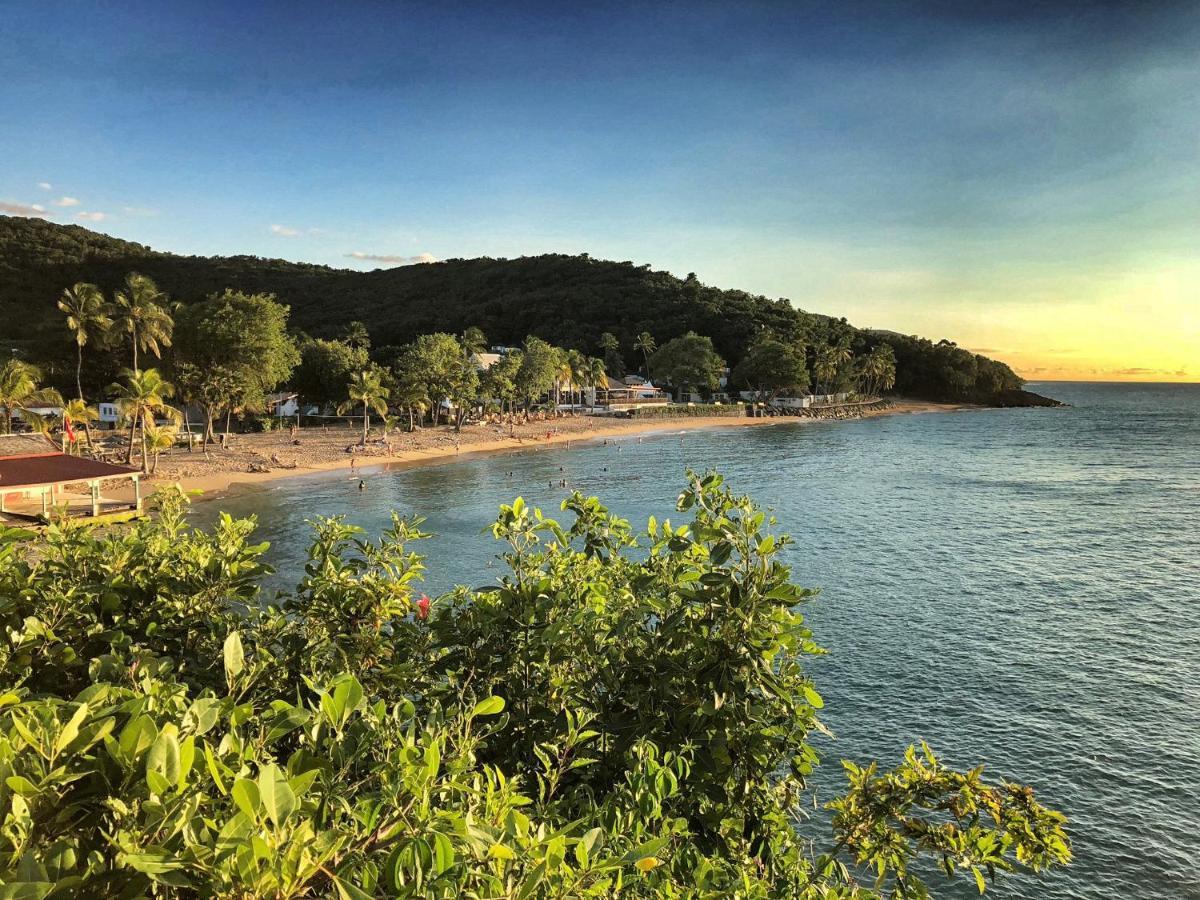 Le Surf Lodge, Chambre Avec Vue Mer Dans Un Ecrin De Verdure Deshaies Dış mekan fotoğraf